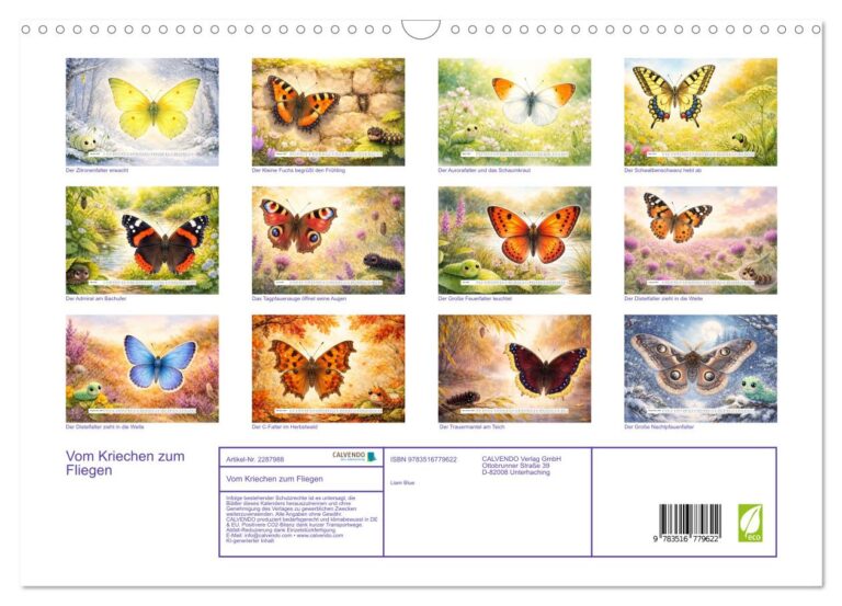 Vom Kriechen zum Fliegen - Index