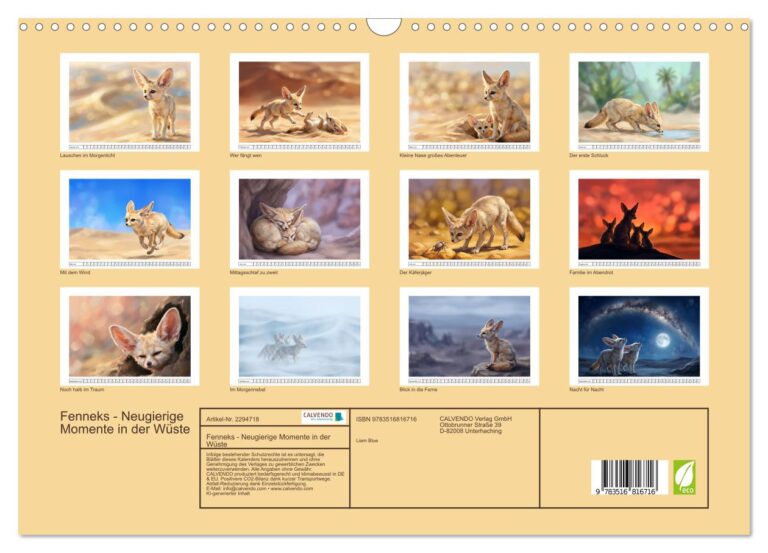 Fenneks - Neugierige Momente in der Wüste - Index