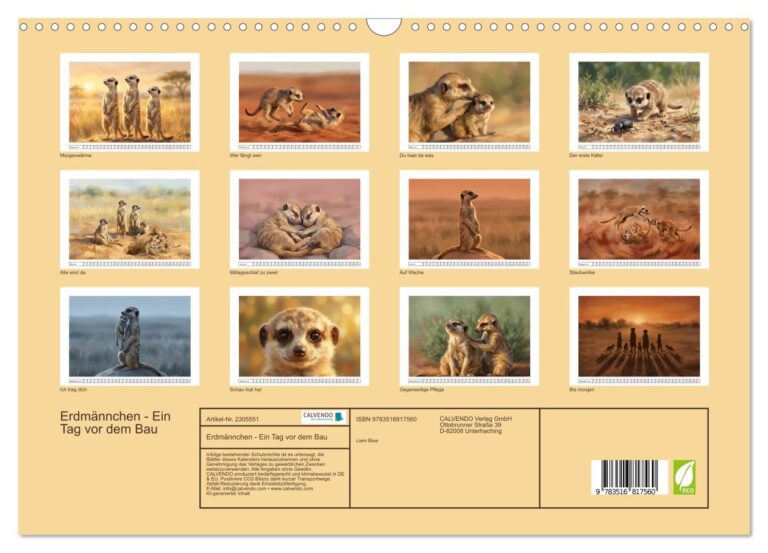 Erdmännchen - Ein Tag vor dem Bau - Index